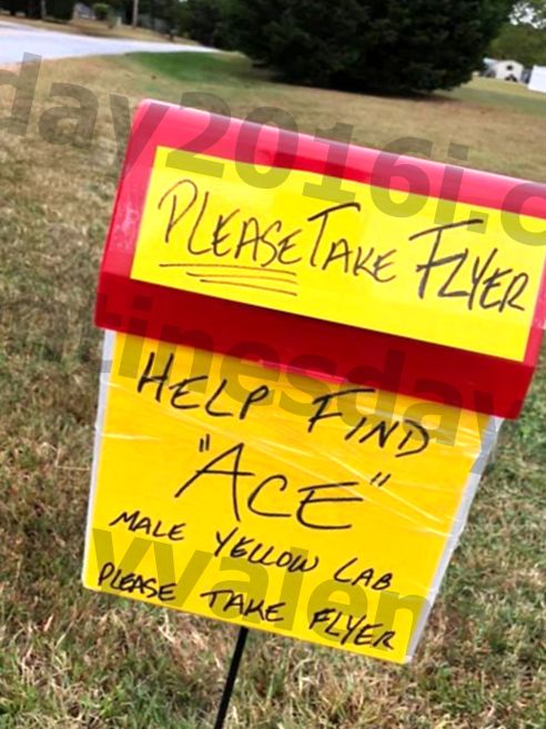 Familie werd verteld om flyers te verwijderen voor verloren honden of zware boetes