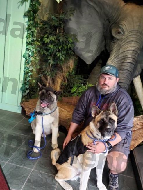 veteran a dat afară din hanul hampton din Oregon pentru că avea un câine de serviciu