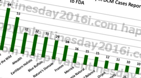最新ニュース：FDAが心臓病レポート（DCM）に関連するドッグフードブランドのリストをリリース
