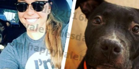 Pit Bull Advocate berättar en hjärtskärande berättelse: 'Dagen som en man träffade min hund'
