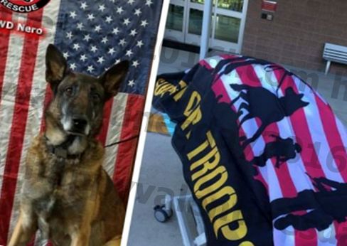 Pensjonert militærhund mottar en heltens farvel