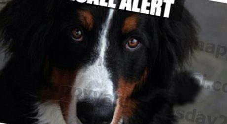 TAGASIVÕTMINE: Spetsiaalne koeratoit kutsutakse tagasi Listeria probleemide tõttu