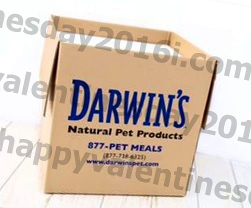 FDA Recall: Darwin's Natural Dog Food Tests Positive for Salmonella