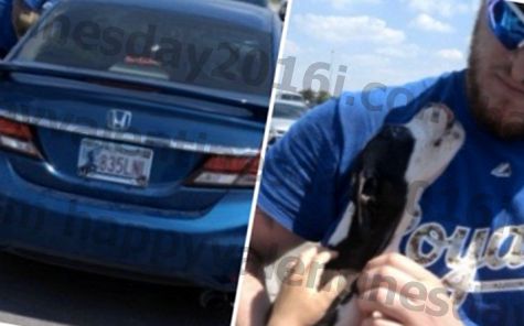 navijači kraljevske obitelji izbacili štene iz vrućeg automobila na kauffman stadionu