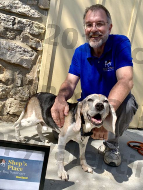 Anjing Senior Temukan Harapan Baru Di Tempat Yang Tak Terduga